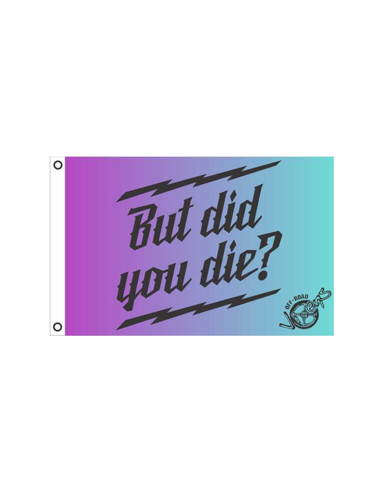 Load image into Gallery viewer, But did you Die? Flag 12" x 18"
