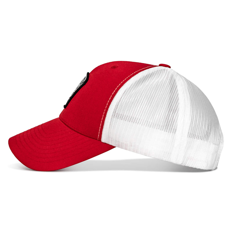 Load image into Gallery viewer, Nobody Is Coming To Save You Skull Patch Snapback Hat
