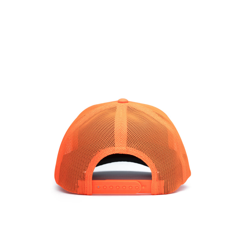 Load image into Gallery viewer, Pheasant Patch Hat
