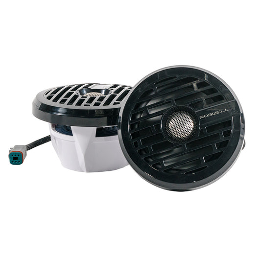 Roswell R1 6.5” Marine Speakers - Black - 80W RMS & 160W Peak Power - Skoutley Outdoors LLC