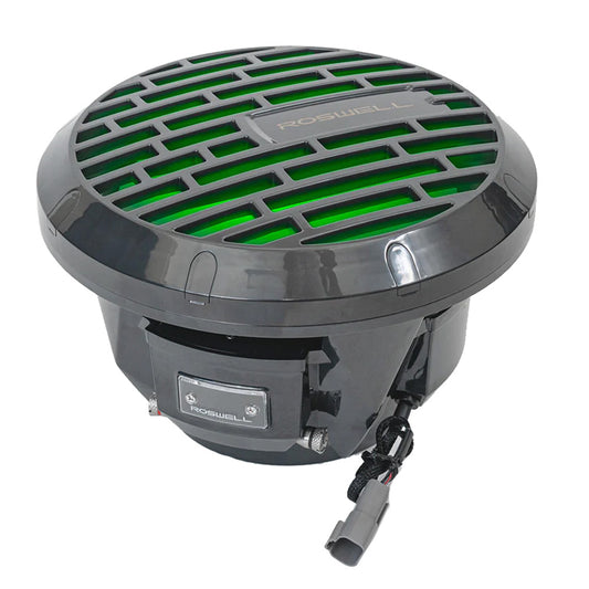 Roswell R1 10" Subwoofer - Anthracite - 250W RMS & 500W Peak Power - Skoutley Outdoors LLC