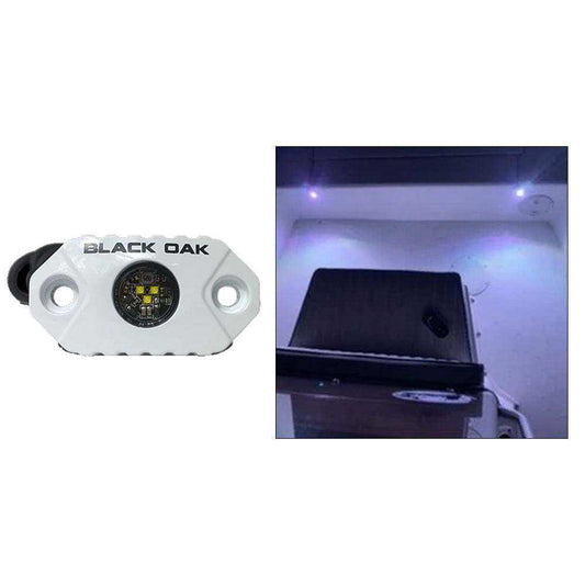 Black Oak Rock Accent Light - White LEDs - White Housing - Skoutley Outdoors LLC
