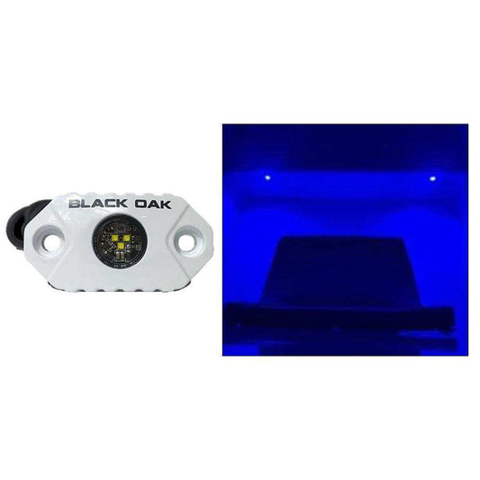Black Oak Rock Accent Light - Blue LEDs - White Housing - Skoutley Outdoors LLC