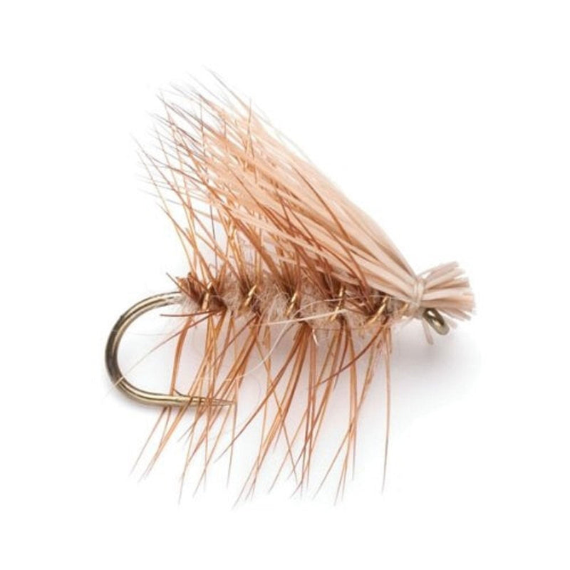Load image into Gallery viewer, Eastern Trout Fly Assortment - 12 Essential Trout Flies Collection

