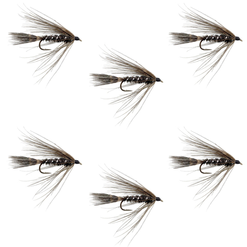 Load image into Gallery viewer, Carey Special Soft Hackle Grouse and Peacock Wet Fly - 6 Flies Hook Size 10

