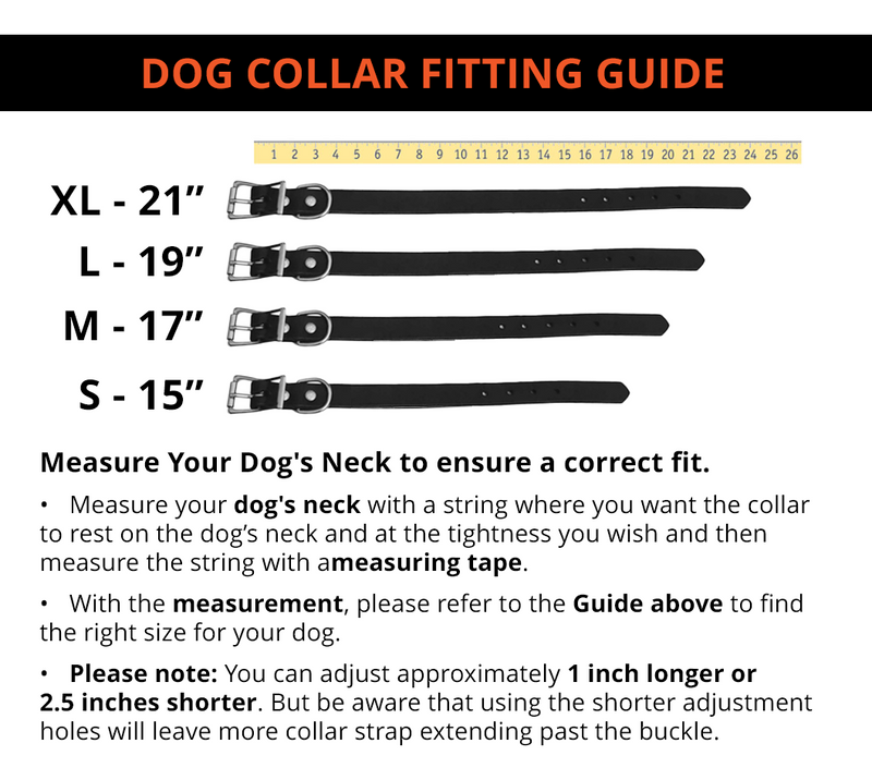 Load image into Gallery viewer, Dog Collar Decorated With Shotgun Shells
