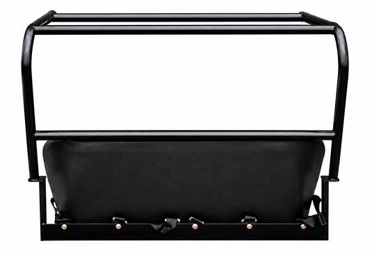 Honda Big Red Backseat and Roll Cage Kit (2009-2013)