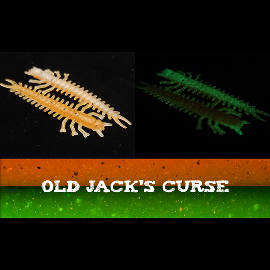 Jar of 1.8" Inch Micro Hellgrammite "The Ditch Devil"