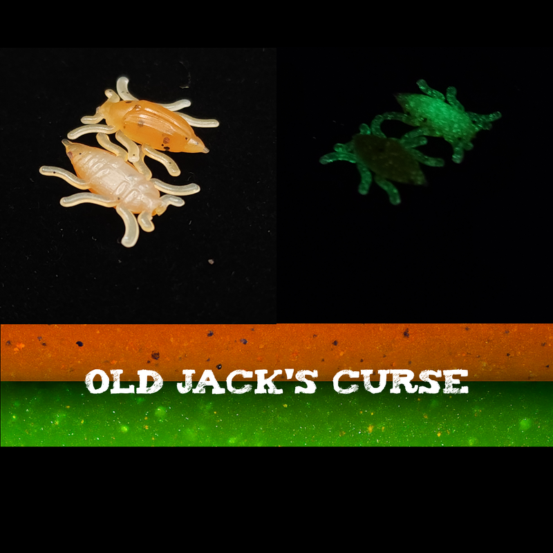 Load image into Gallery viewer, Jar of 0.5&quot; Half Inch Micro Beetle &quot;Toe Biter&quot;
