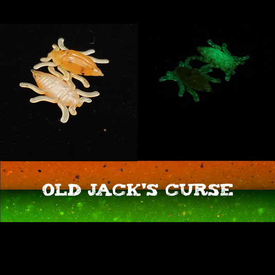 Jar of 0.5" Half Inch Micro Beetle "Toe Biter"