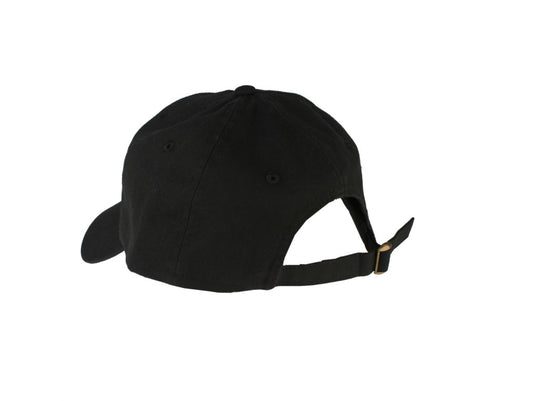 Aeromotive Hat with  Logo