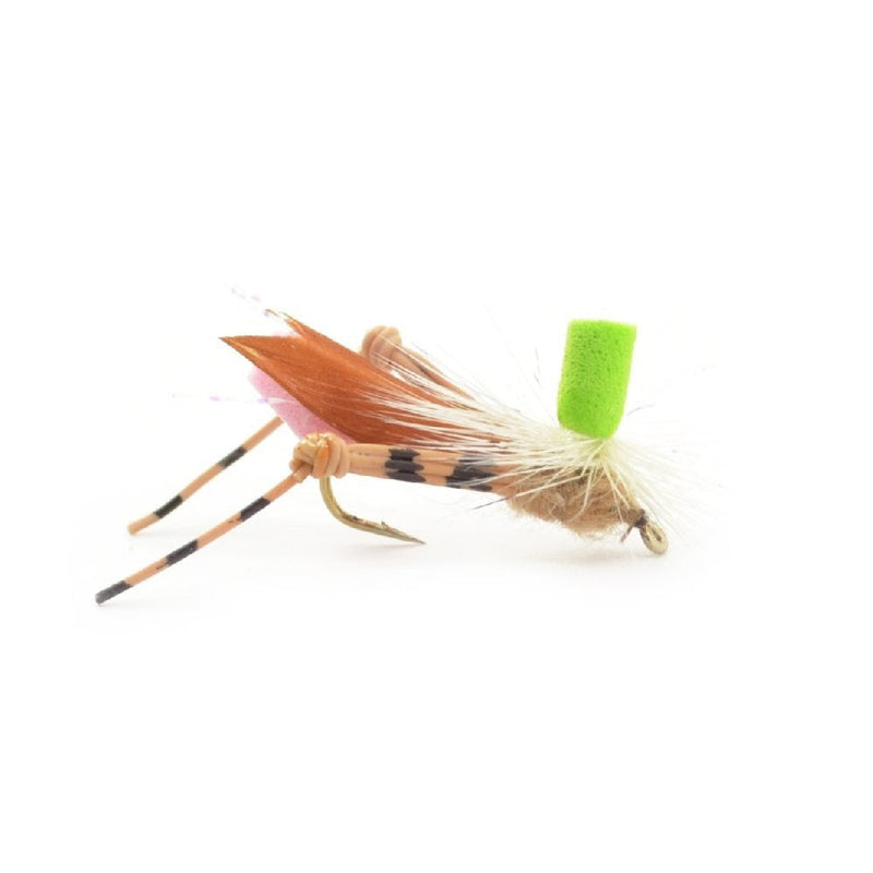 Load image into Gallery viewer, Trout Fly Assortment - Premium Terrestrial Flies - 24 Essential Hoppers, Ants and Beetles with Fly Box
