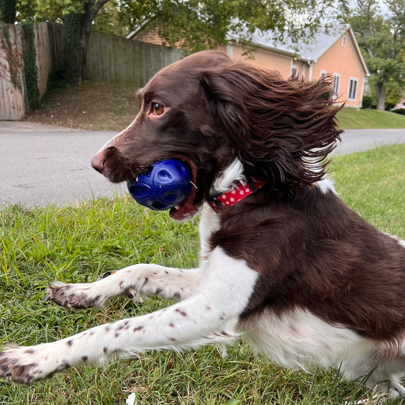 Load image into Gallery viewer, Chewie Squeak Rubber Football
