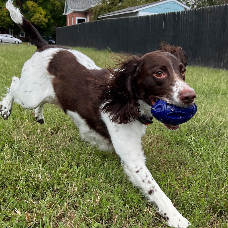 Load image into Gallery viewer, Chewie Squeak Rubber Football

