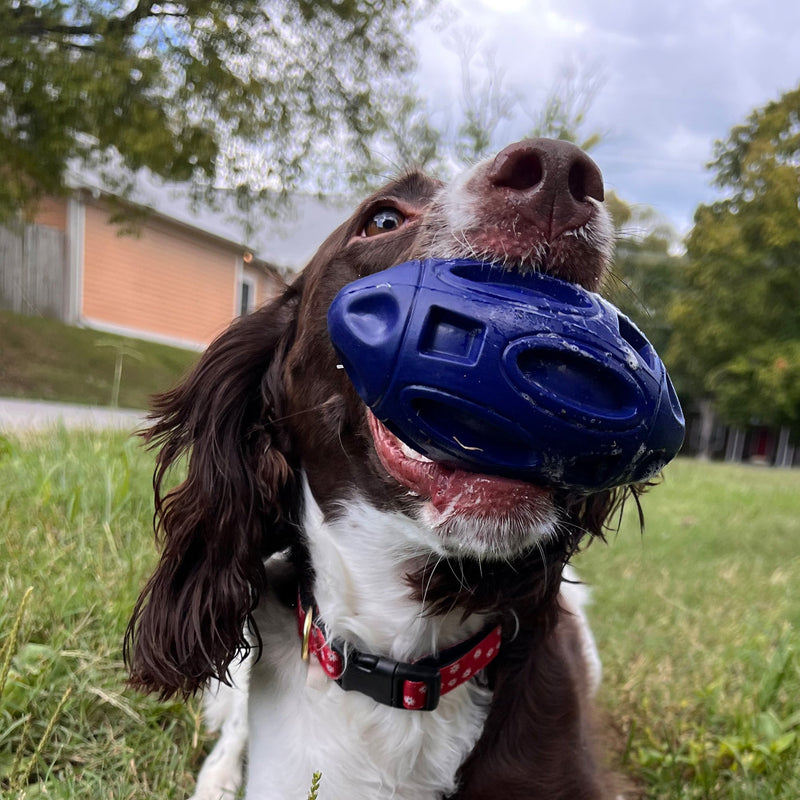 Load image into Gallery viewer, Chewie Squeak Rubber Football
