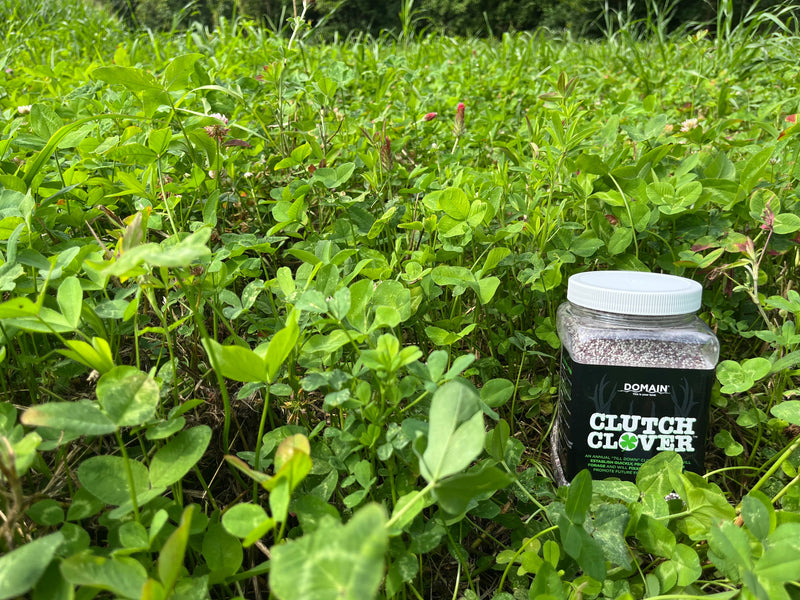 Load image into Gallery viewer, Clutch Clover™ Food Plot Seed
