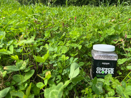 Clutch Clover™ Food Plot Seed