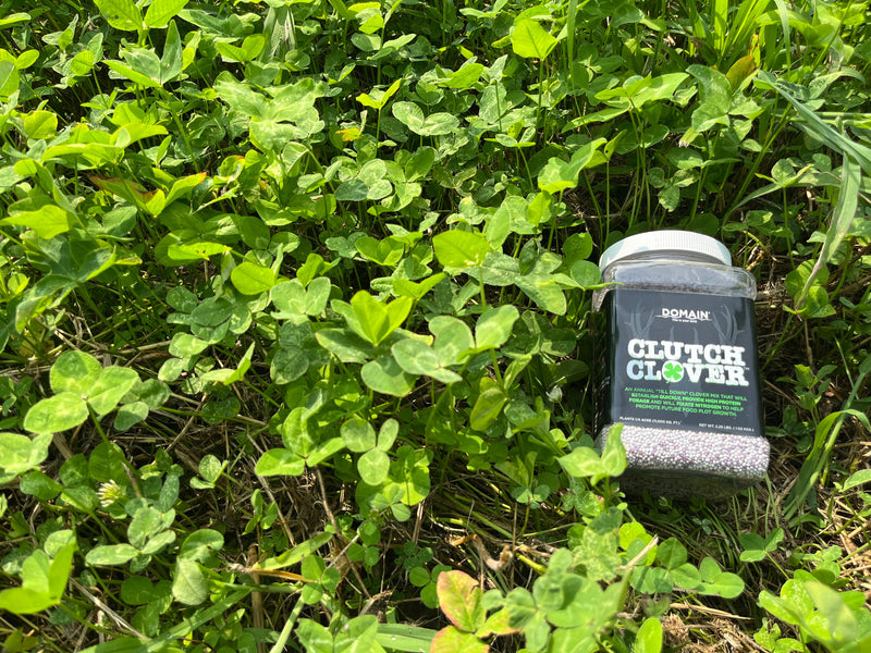 Load image into Gallery viewer, Clutch Clover™ Food Plot Seed
