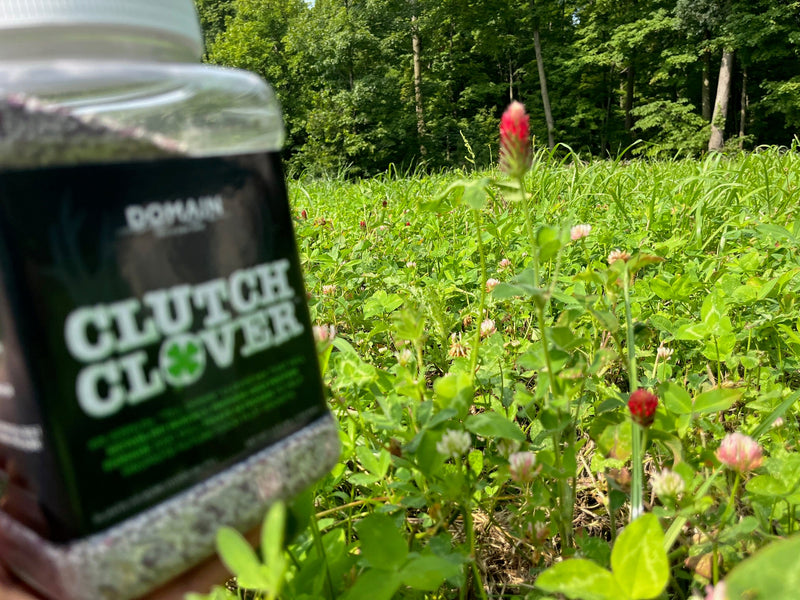 Load image into Gallery viewer, Clutch Clover™ Food Plot Seed
