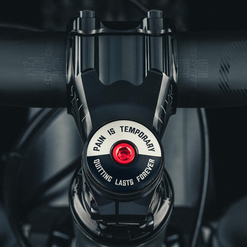 Load image into Gallery viewer, Pain is Temporary - Quitting Lasts Forever Bicycle Headset Cap
