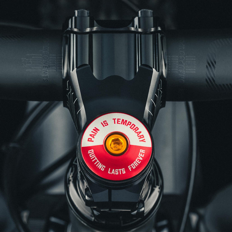 Load image into Gallery viewer, Pain is Temporary - Quitting Lasts Forever Bicycle Headset Cap
