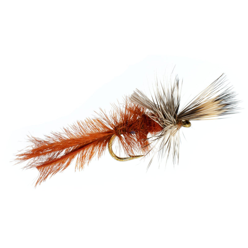 Load image into Gallery viewer, Callibaetis Cripple Mayfly  6 Flies Hook Size 16
