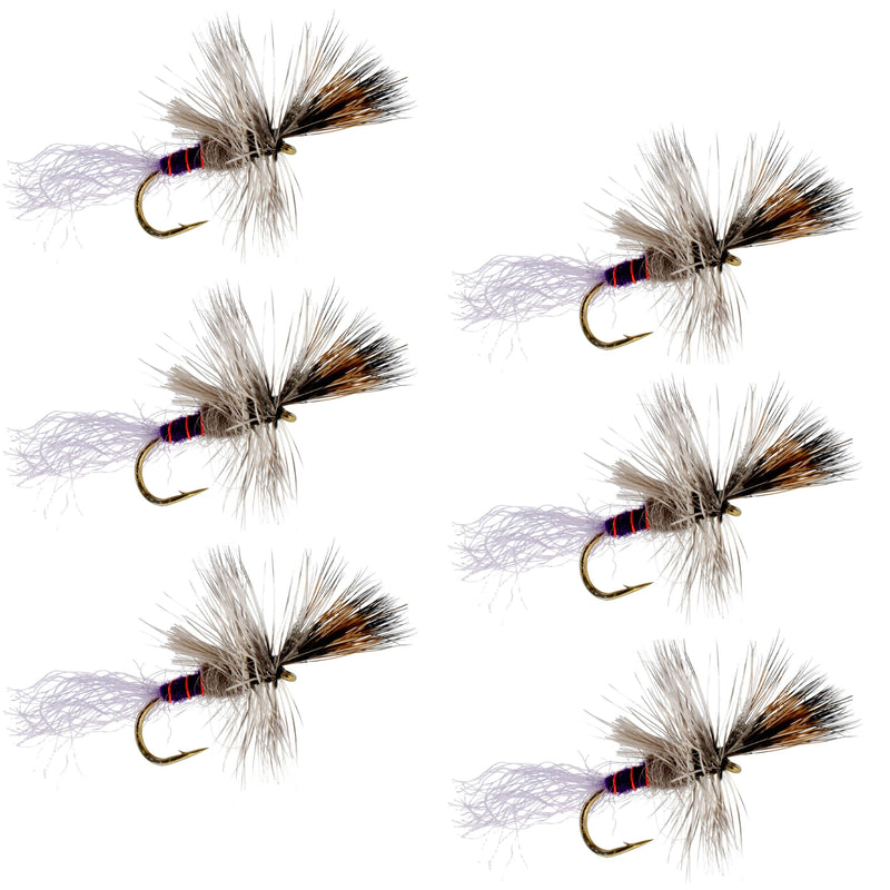 Load image into Gallery viewer, Purple Haze Cripple Mayfly 6 Flies Hook Size 16
