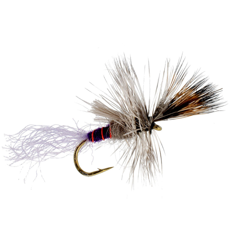 Load image into Gallery viewer, Purple Haze Cripple Mayfly  12 Flies Hook Size 14
