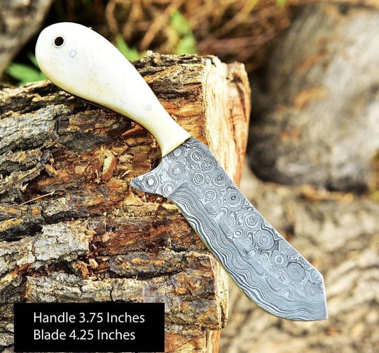 Gareth Bull Shamwari Inspired 8