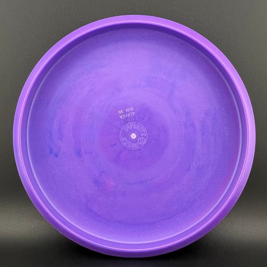 P-Blend Alpaca - James Proctor - 2025 Tour Series