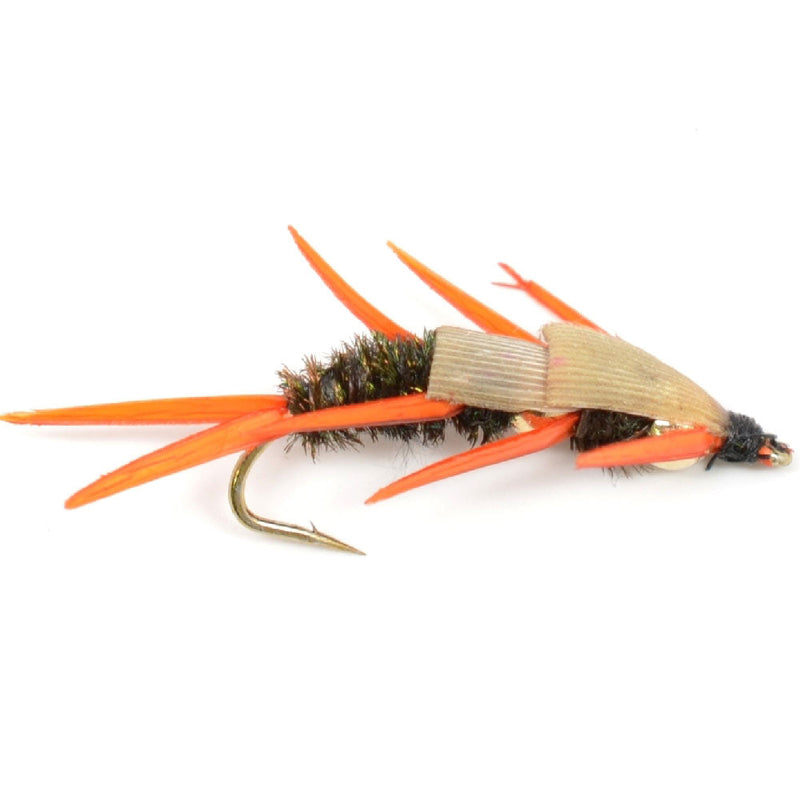 Load image into Gallery viewer, 3 Pack Double Bead Peacock Stonefly Nymph with Amber Biot Legs Fly Fishing Flies - Trout and Bass Wet Fly Pattern - Hook Size 8
