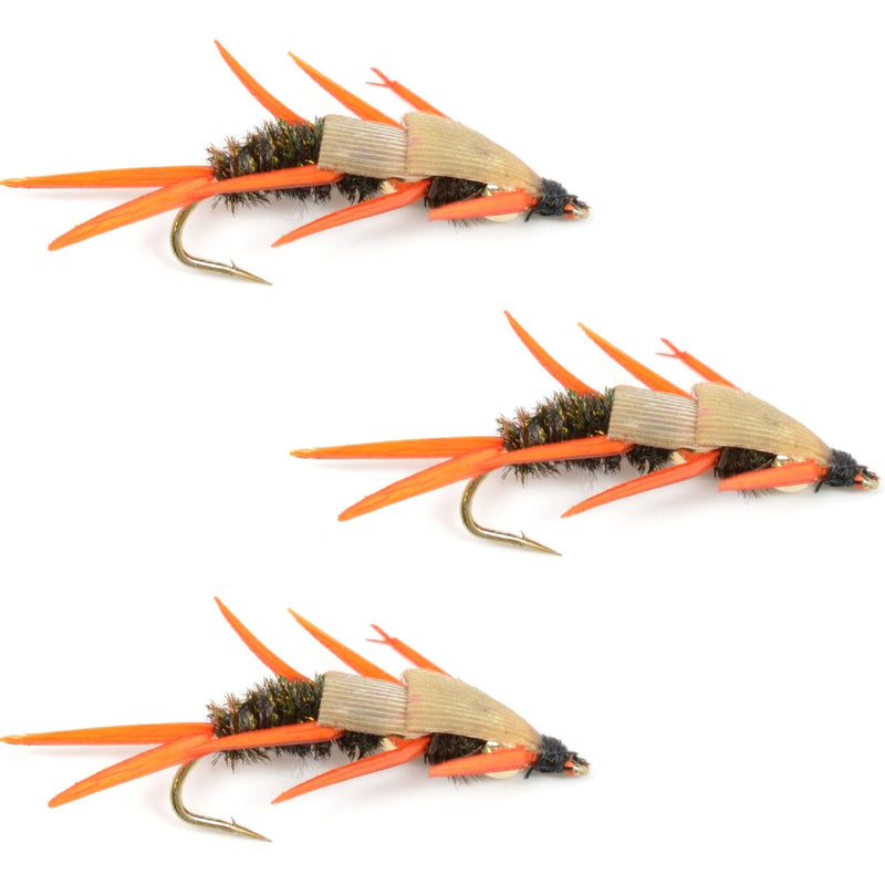 Load image into Gallery viewer, 3 Pack Double Bead Peacock Stonefly Nymph with Amber Biot Legs Fly Fishing Flies - Trout and Bass Wet Fly Pattern - Hook Size 14
