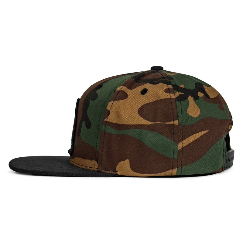 Load image into Gallery viewer, Destroy Tyranny FlatBill SnapBack Hat
