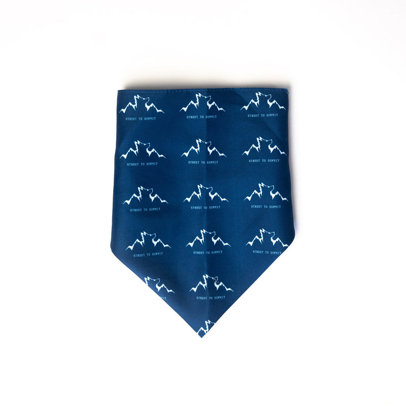 Load image into Gallery viewer, Alpha Pak Logo Bandana
