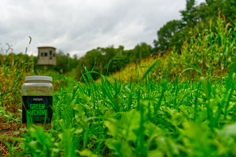 Load image into Gallery viewer, Green Machine™ Food Plot Seed
