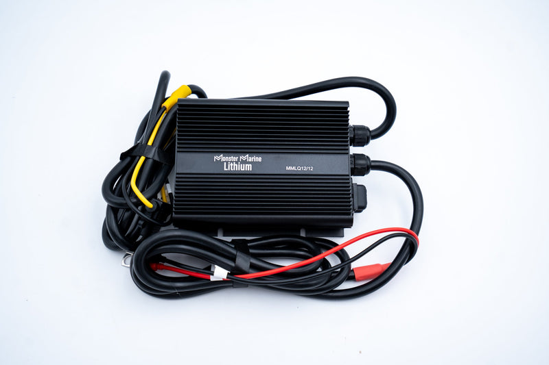 Load image into Gallery viewer, 12v/12v Quantum Charger
