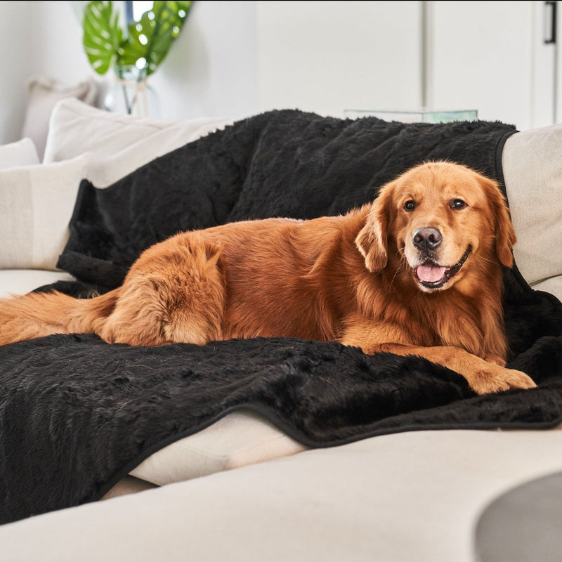 Load image into Gallery viewer, PupProtector™ Summer Short Fur Waterproof Throw Blanket - Midnight Black
