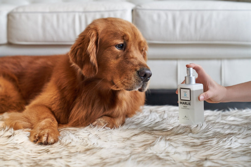 Load image into Gallery viewer, Marlie Mist Pet Odor Eliminator Spray with Essential Oils

