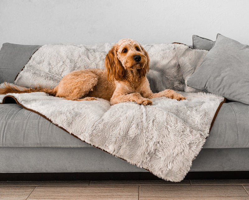 Load image into Gallery viewer, PupProtector™ Summer Short Fur Waterproof Throw Blanket - Grey
