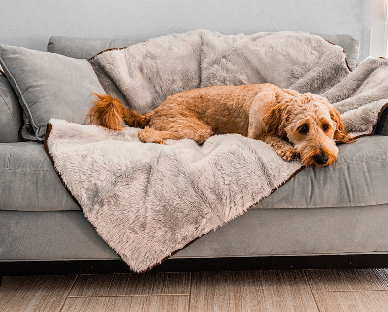 Load image into Gallery viewer, PupProtector™ Summer Short Fur Waterproof Throw Blanket - Grey
