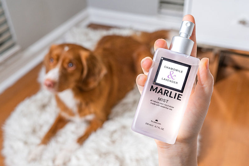 Load image into Gallery viewer, Marlie Mist Pet Odor Eliminator Spray with Essential Oils
