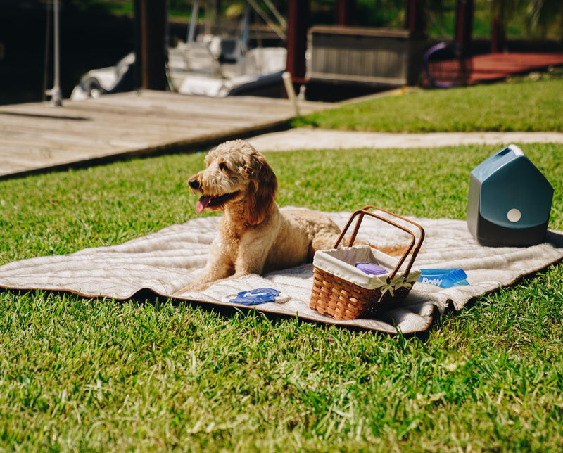 Load image into Gallery viewer, PupProtector™ Summer Short Fur Waterproof Throw Blanket - White with Brown Accents
