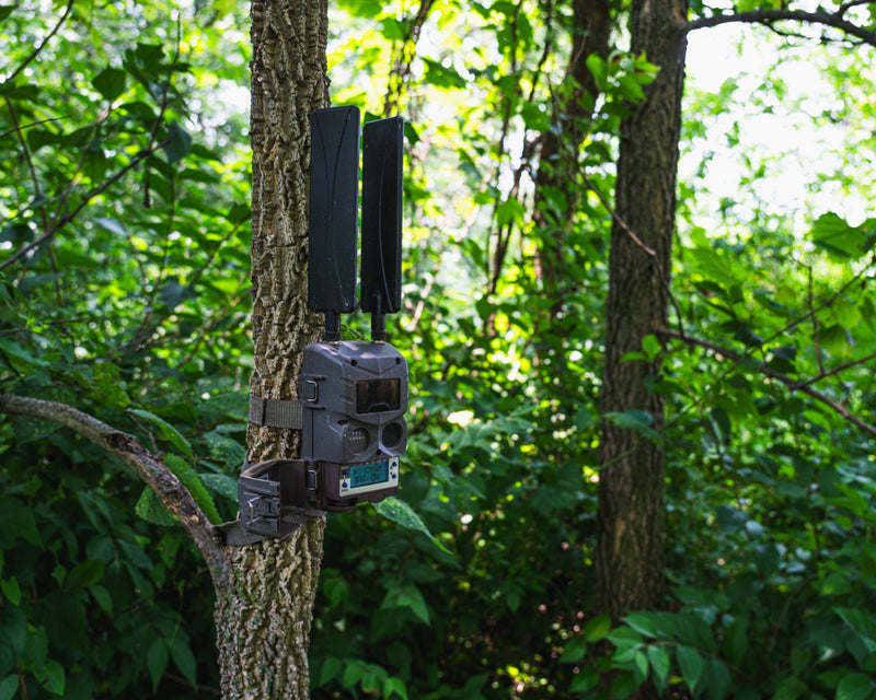 Load image into Gallery viewer, Cuddeback Tracks Camera

