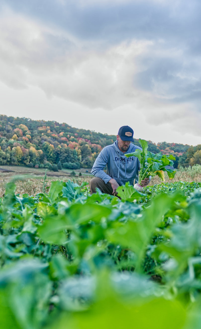 Load image into Gallery viewer, Show Stopper™ Food Plot Seed
