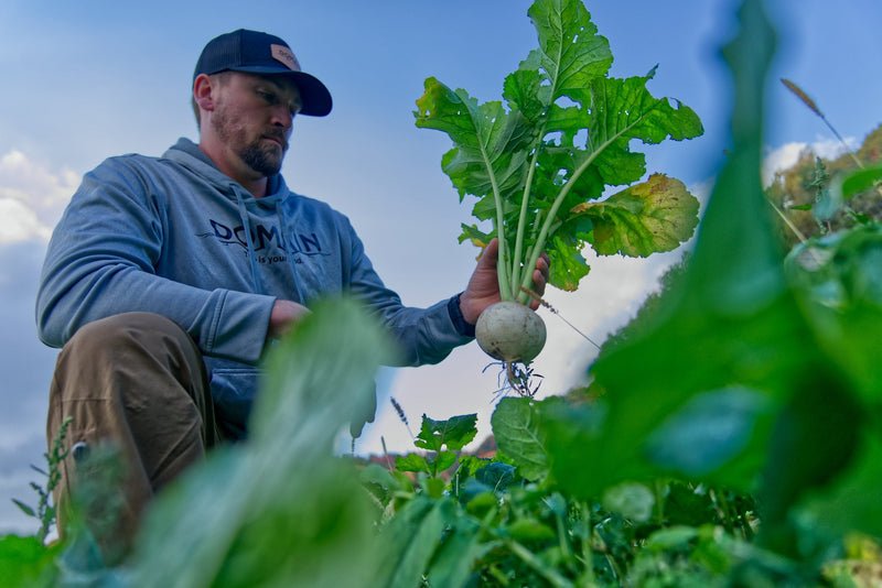 Load image into Gallery viewer, Show Stopper™ Food Plot Seed
