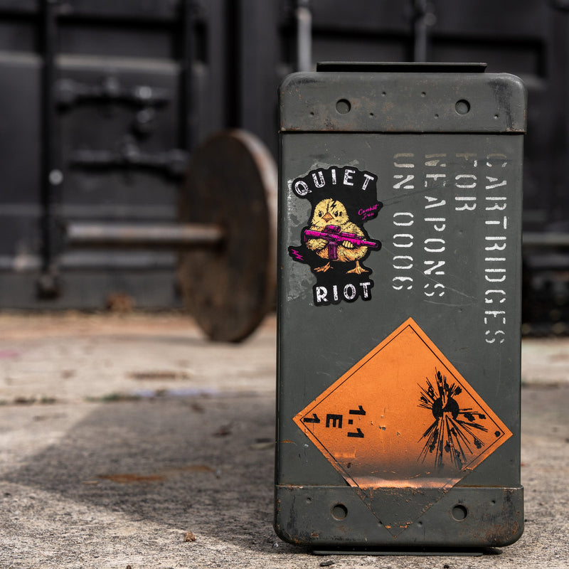 Load image into Gallery viewer, Quiet Riot Duck Decal
