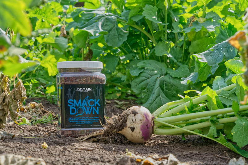 Load image into Gallery viewer, Smack Down™ Food Plot Seed
