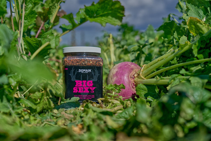 Load image into Gallery viewer, Big Sexy™ Food Plot Seed
