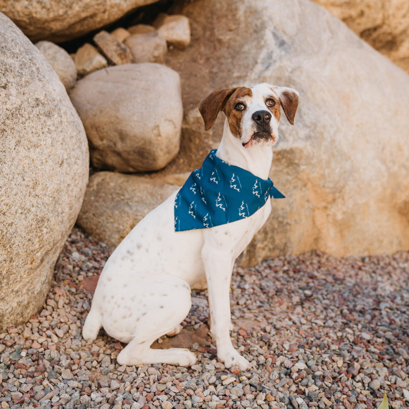 Load image into Gallery viewer, Alpha Pak Logo Bandana

