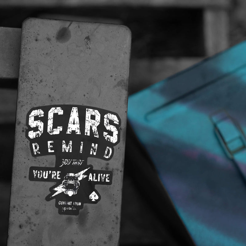 Load image into Gallery viewer, Scars Remind You That You&#39;re Alive Decal
